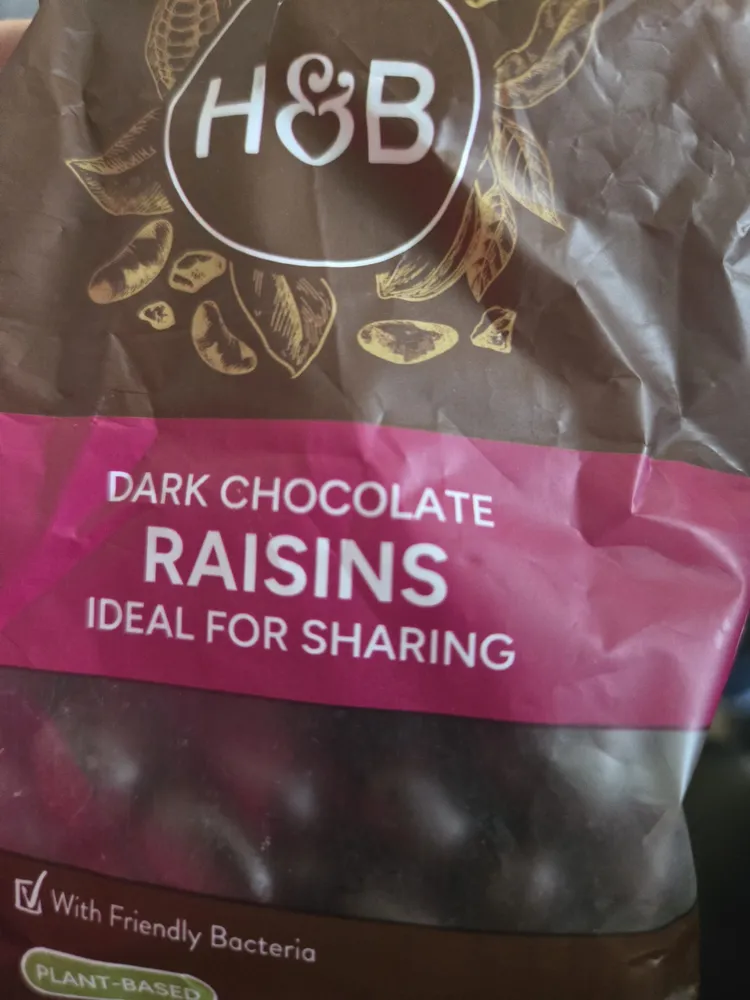 Dark Chocolate Raisins