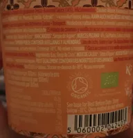 Caramel pecan praline dairy free ice cream