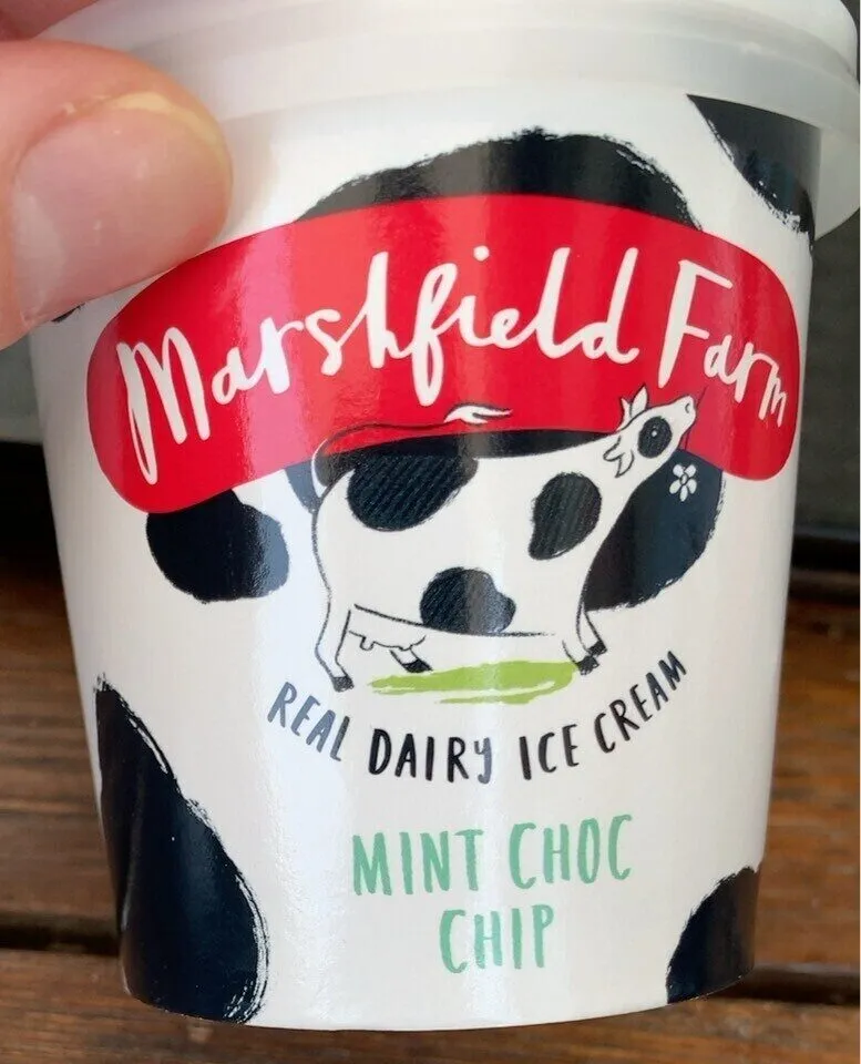 Mint choc chip