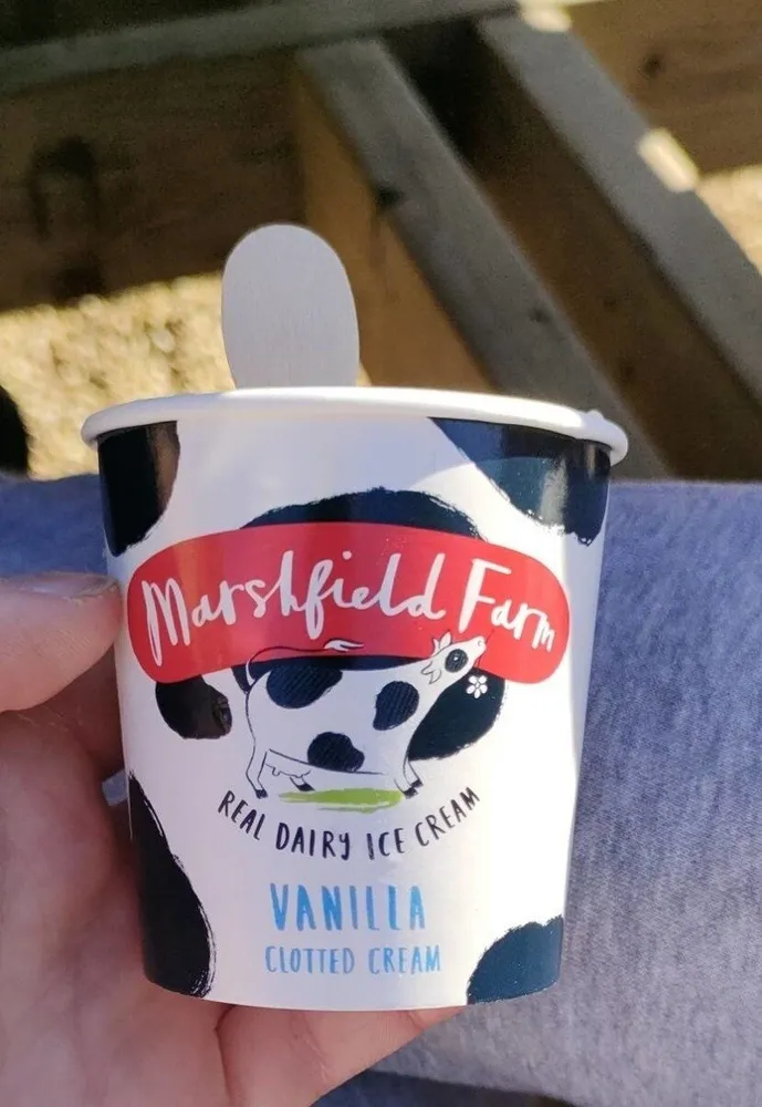 Vanilla clotted cream