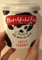 Salted caramel ice cream