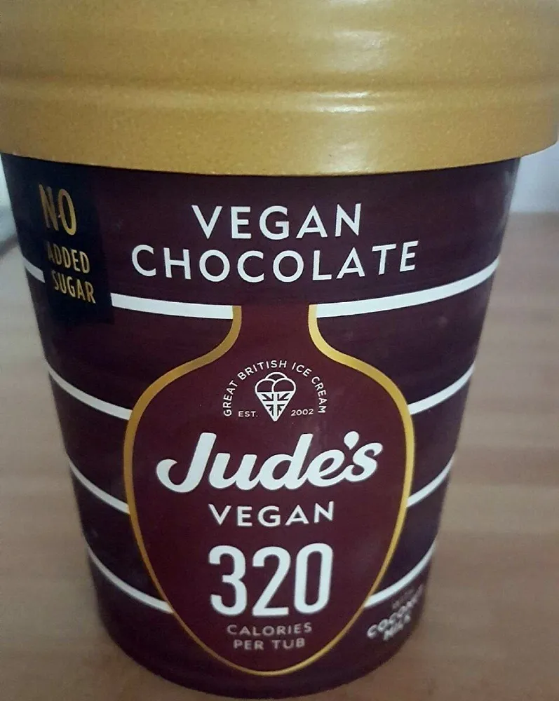 Vegan Chocolate Ice Cream