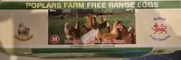 Free Range Eggs