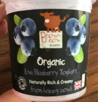 Organic Blueberry Yoghurt