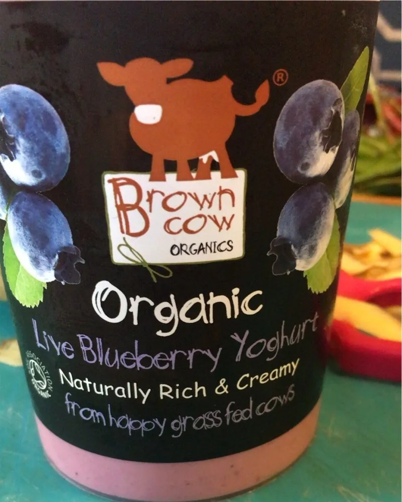 Blueberry yoghurt