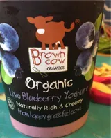 Blueberry yoghurt