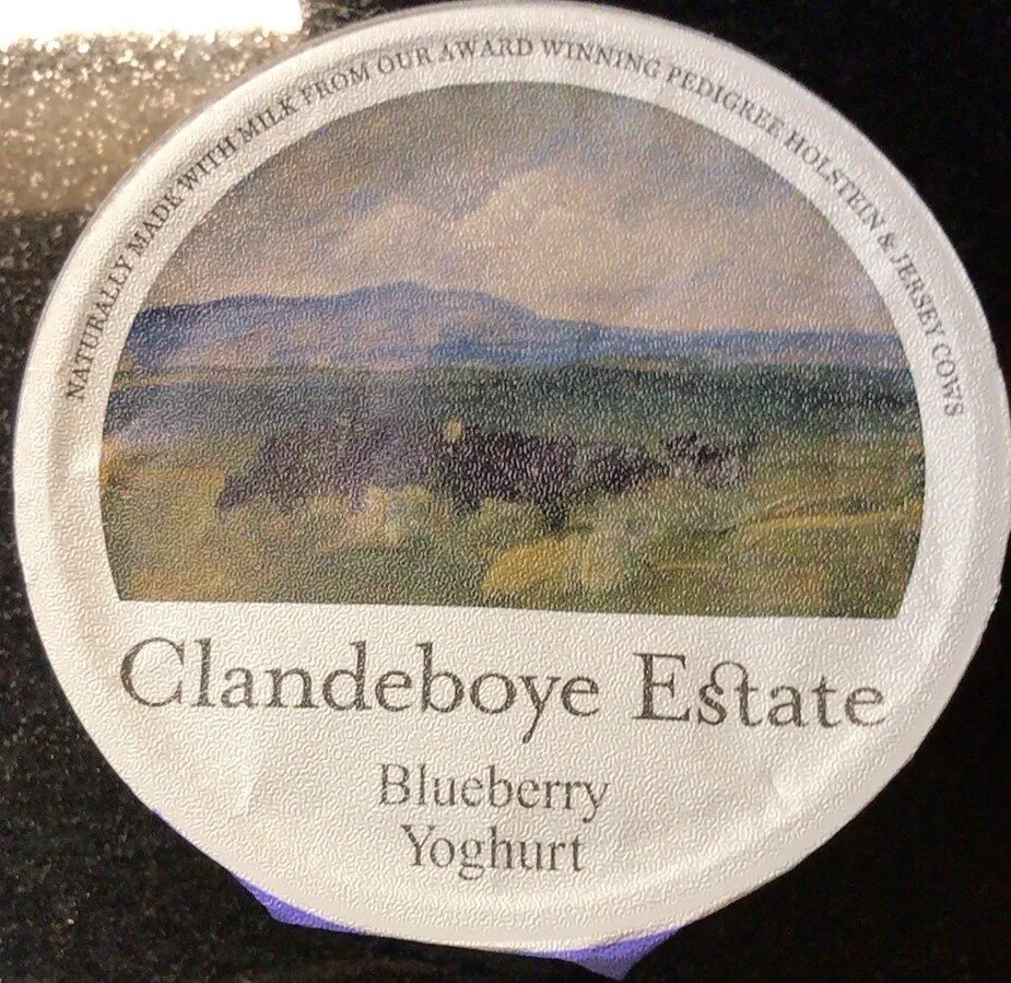 Blueberry yoghurt