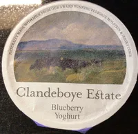 Blueberry yoghurt