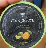 Mandarin & Lime Greek Style Yogurt