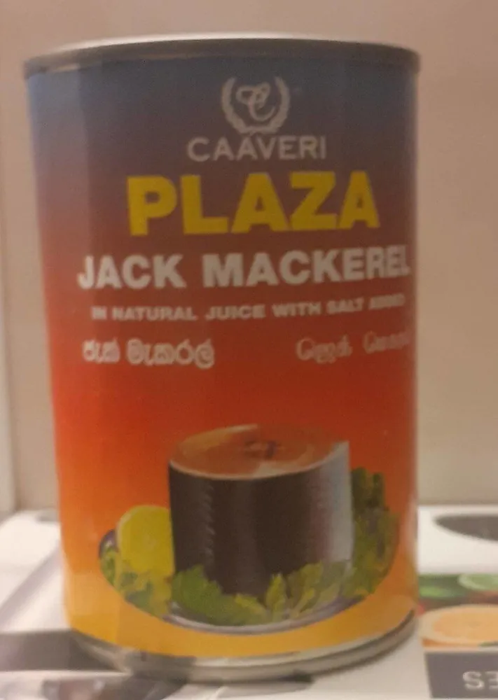 Jack Mackerel