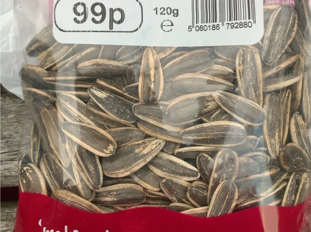 White Sunflower Seeds