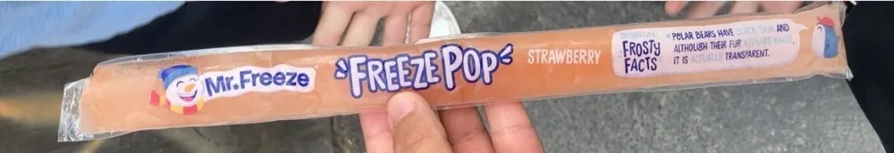 Mr Freeze