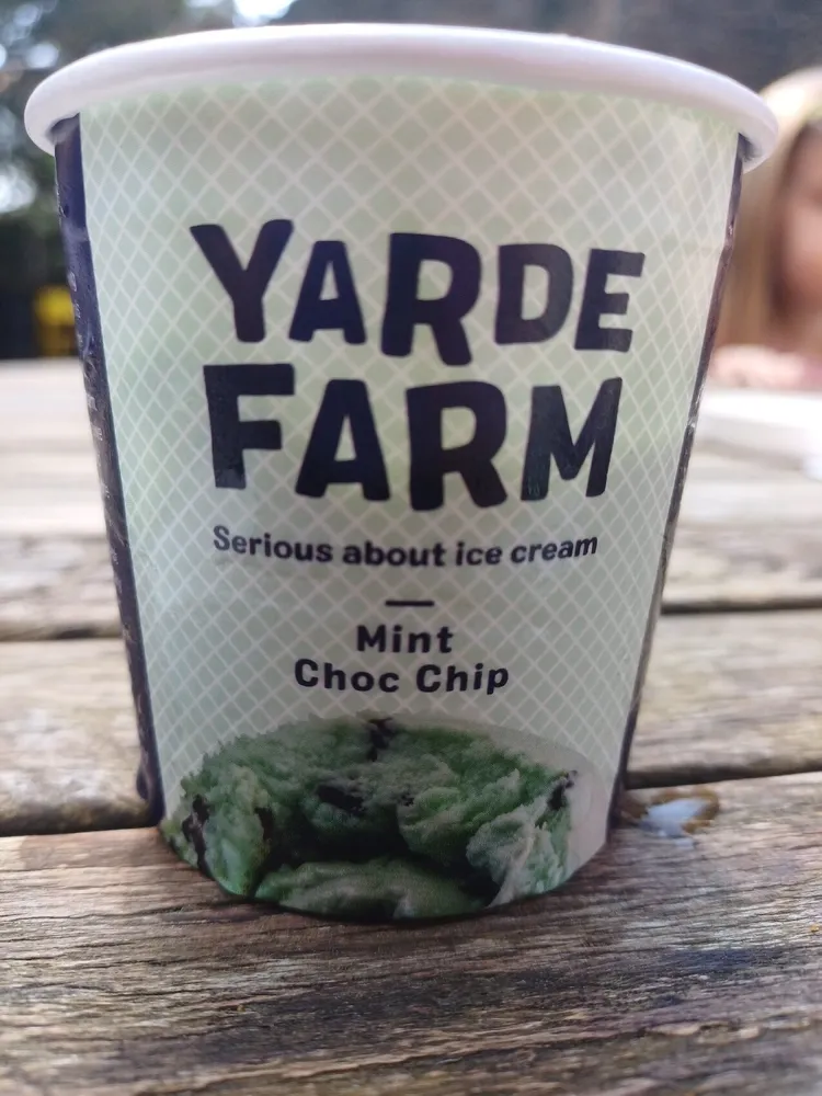 Mint Choc Chips Ice Cream