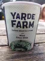 Mint Choc Chips Ice Cream