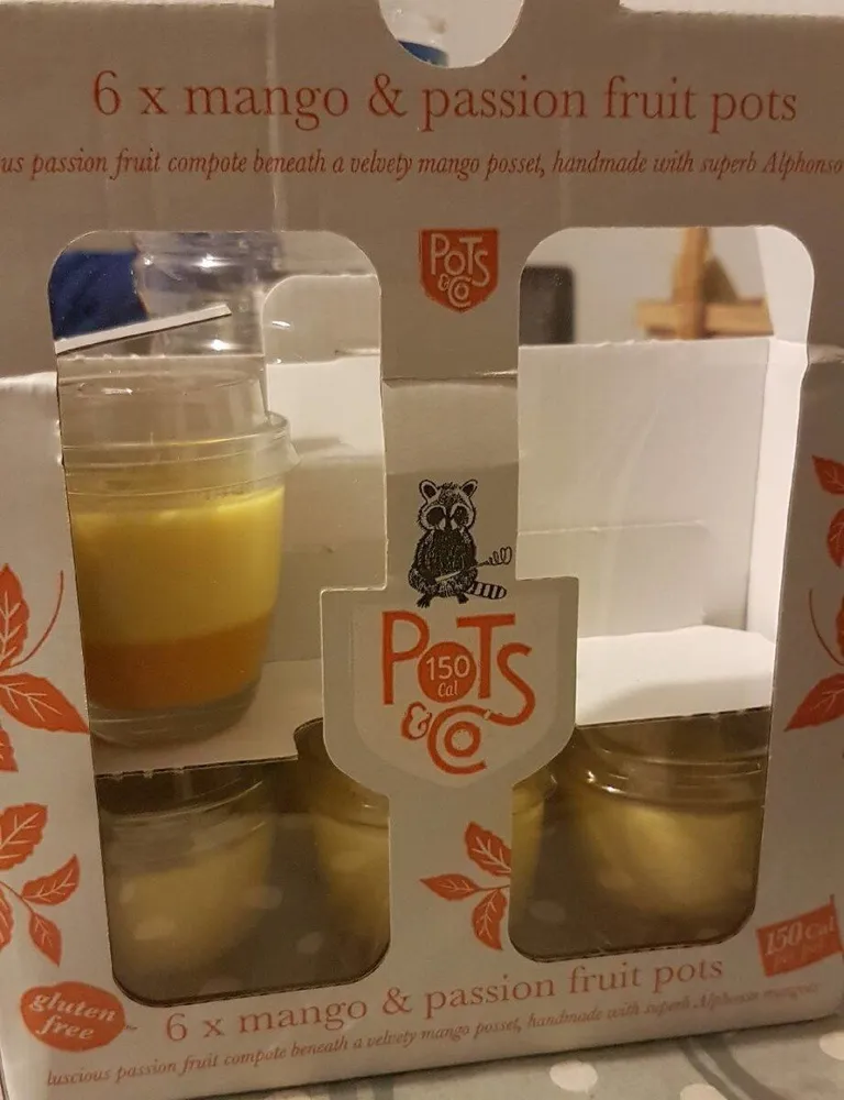 Mango & passion fruit pots