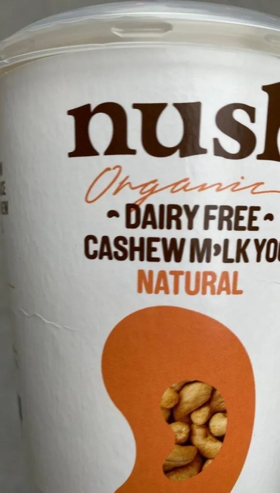 Cashew milk yog