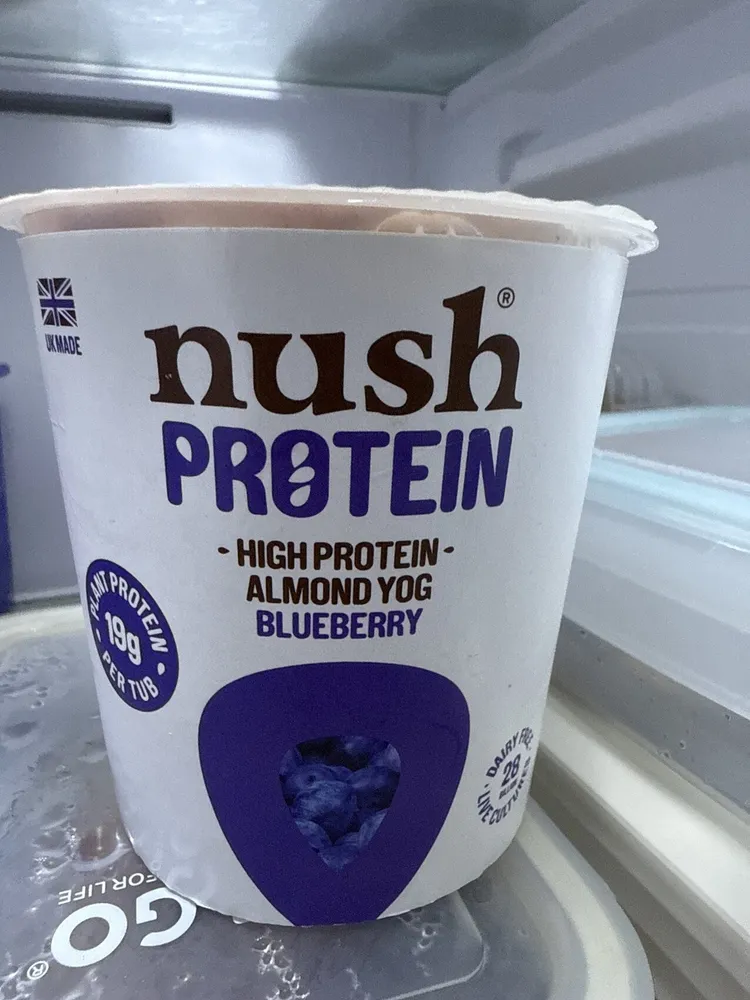 Dairy Free Almond Milk Yog Blueberry