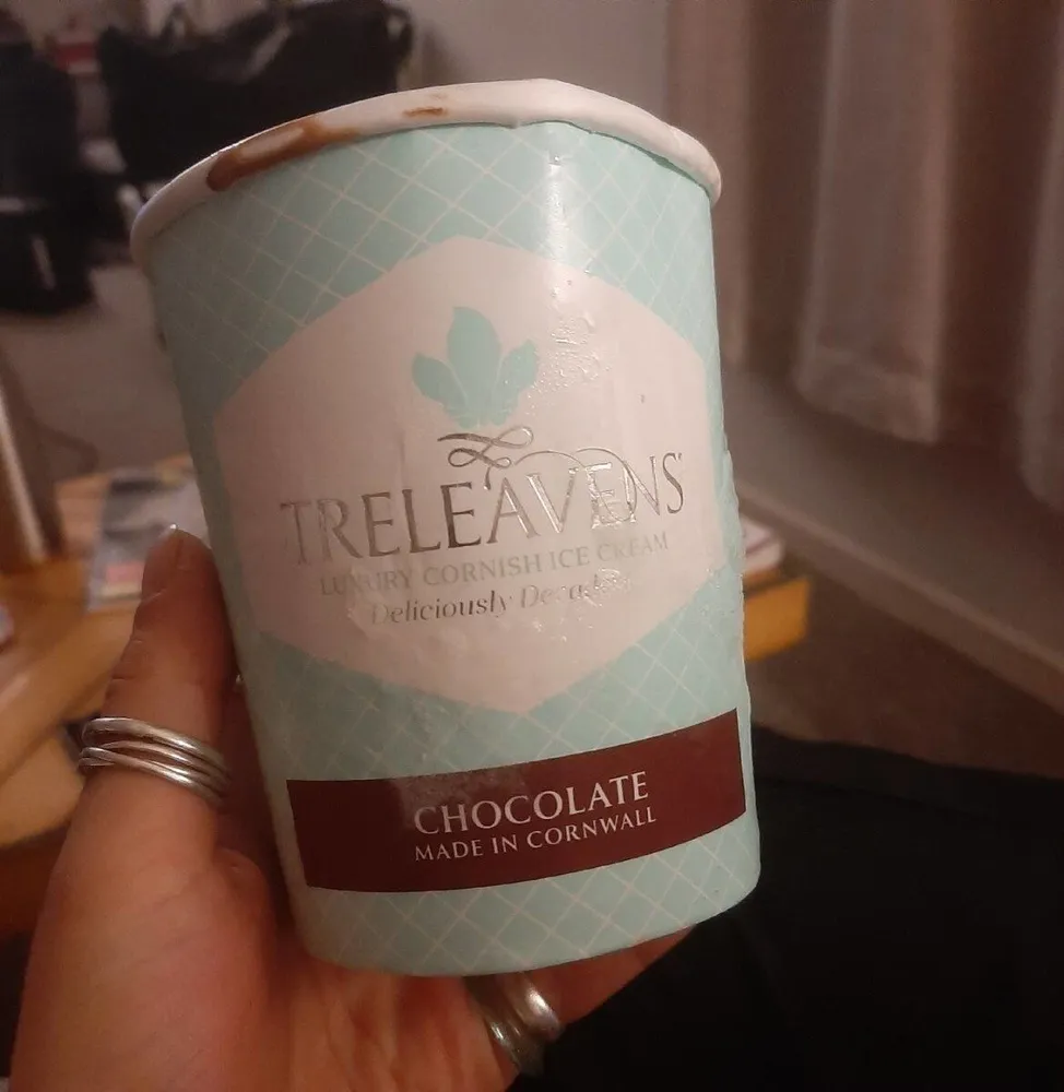 Treleavens Cornish Ice Cream