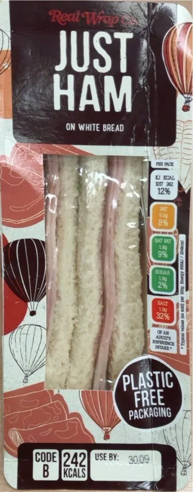 Just ham on white bread sandwich
