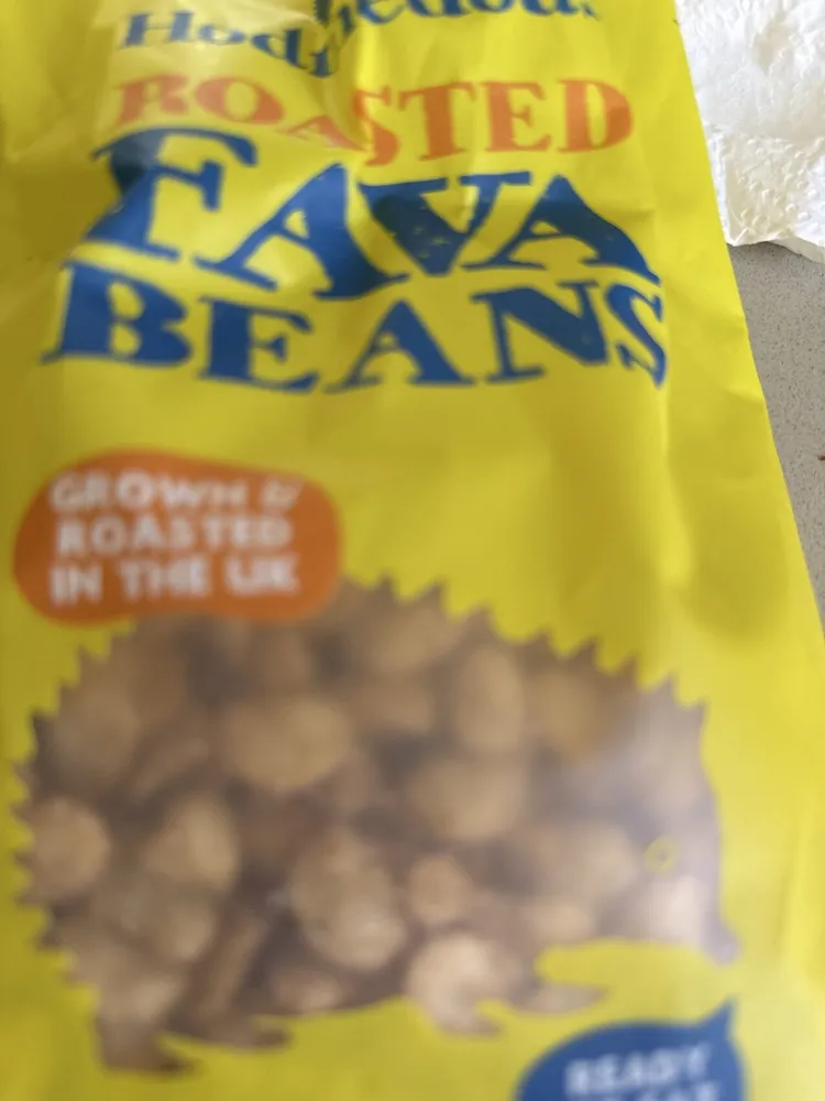Roasted Fava Beans