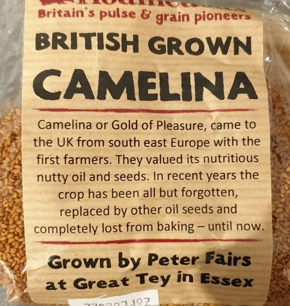 Camelina