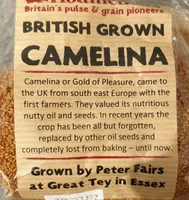 Camelina