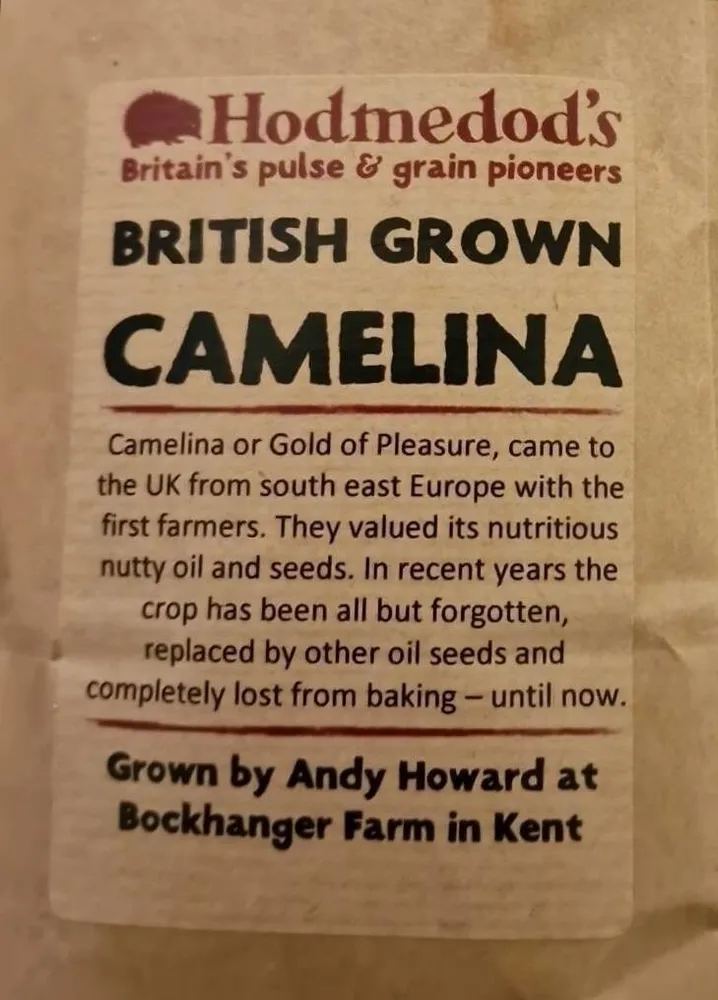 Camelina Seed