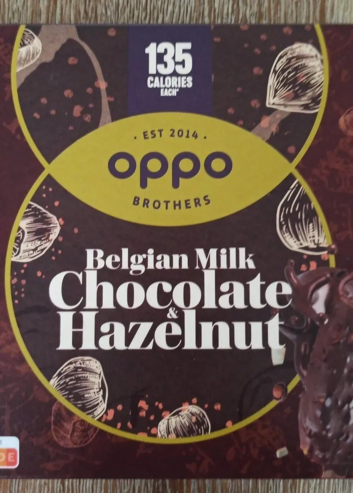 Belgian chocolate hazelnut ice cream