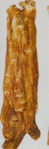 Nutratea