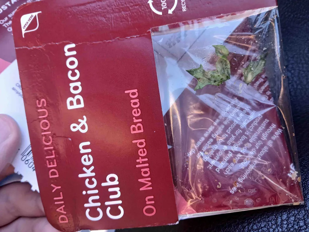 Chicken & Bacon Club