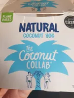 natural coconut  yog