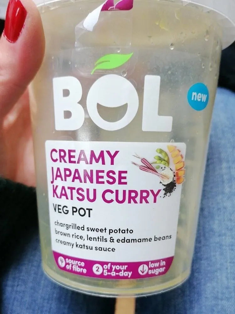 Creamy Japanese Katsu Curry