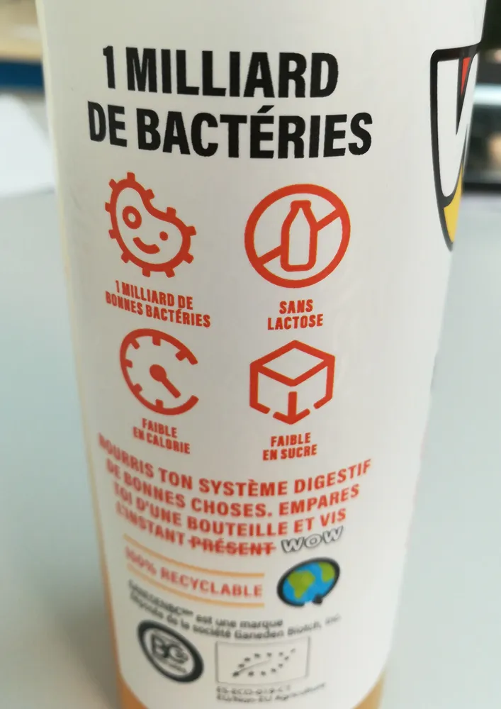 bonnes bactéries