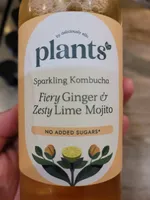 Kombucha Ginger, Mint & Lime