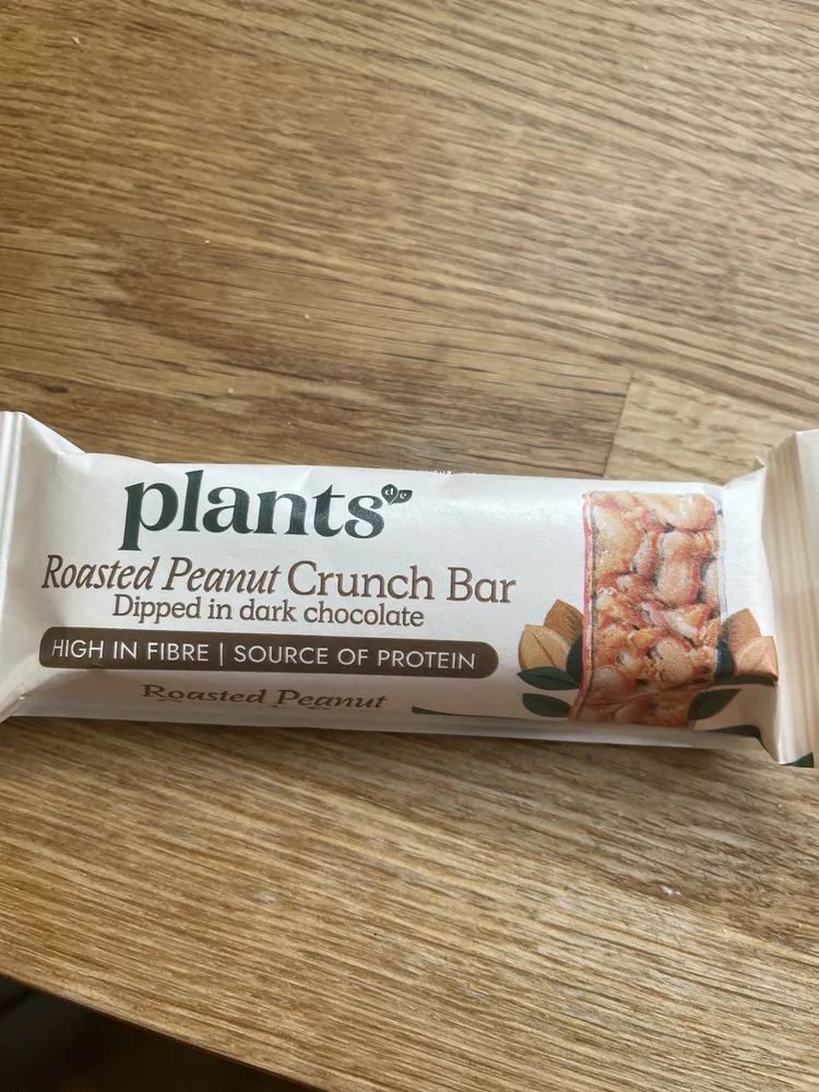 roasted peanut crunch bar dipped in dark chocolate