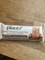 roasted peanut crunch bar dipped in dark chocolate