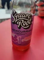 Square Root blackcurrant