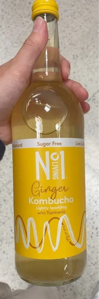 Gingee kombucha