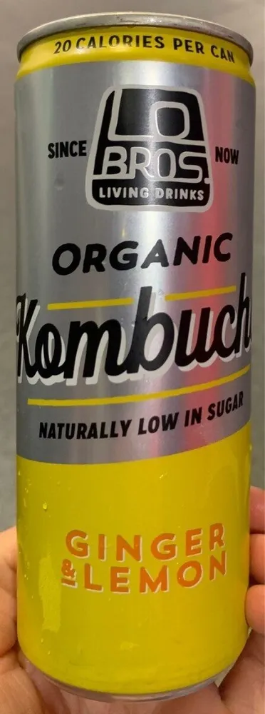 Organic Kombucha, Ginger Lemon