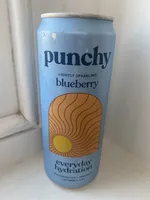 Blueberry Everyday Hydration