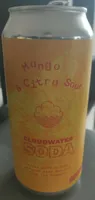 Soda Mango & Citra Sour