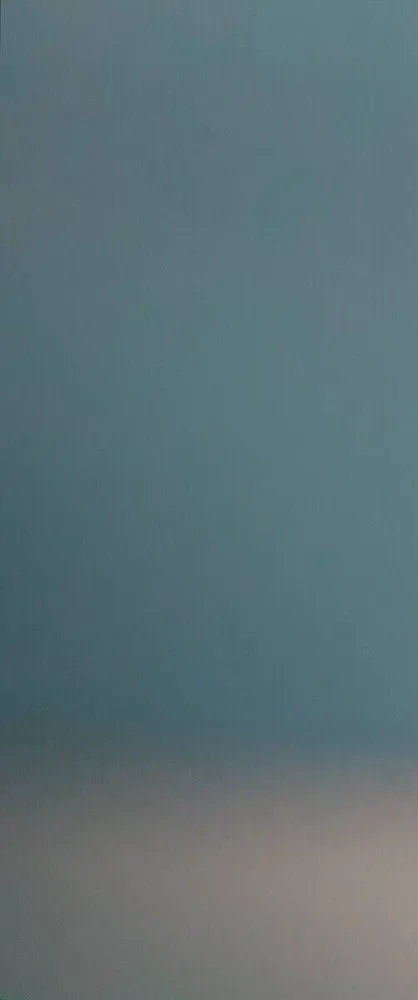 monster backe