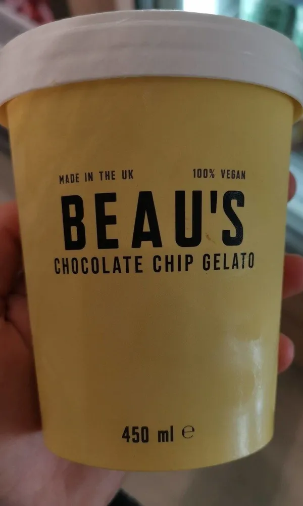 Chocolate chip gelato