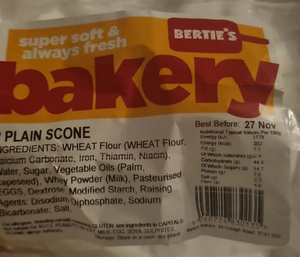Plain Scone
