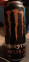 Monster Mule