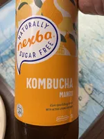 Kombucha Mangue