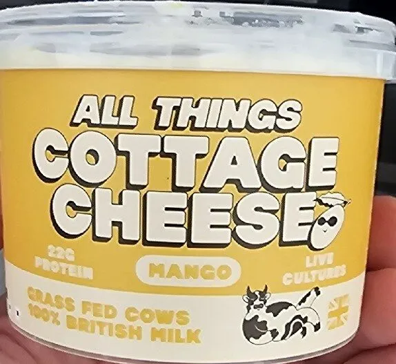 All Things Cottage Cheese Mango