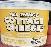 All Things Cottage Cheese Mango