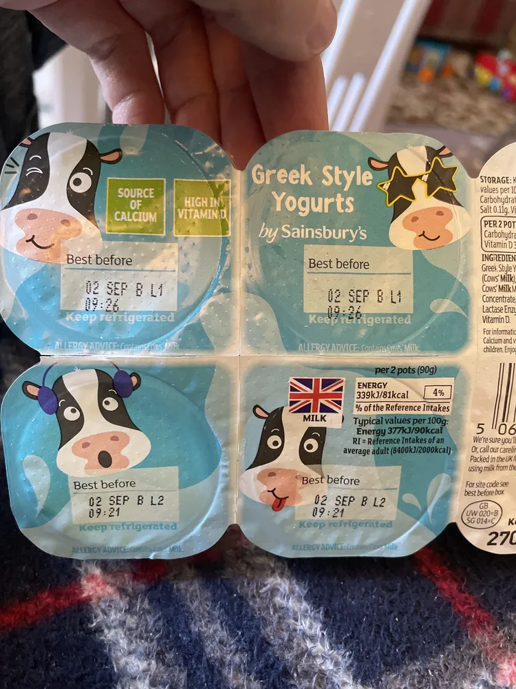 Greek Style Yogurts