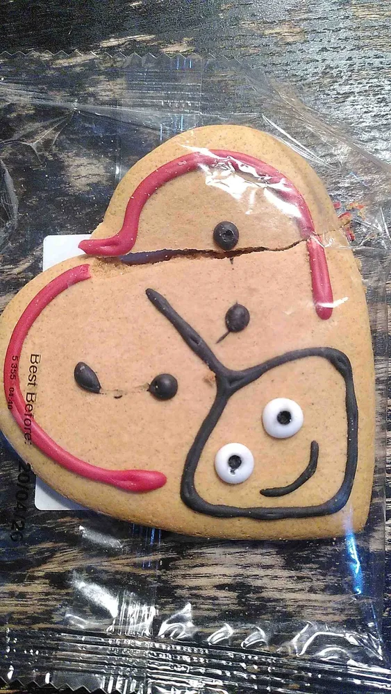 Gingerbread biscuit decorated with coloured icing
